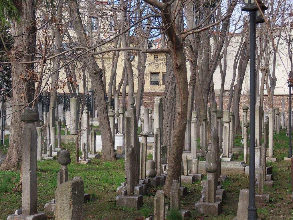 trees&graves