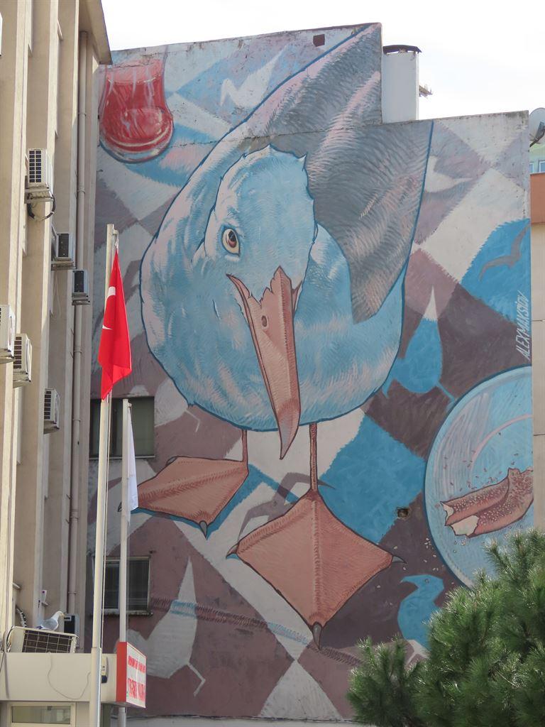 seagull