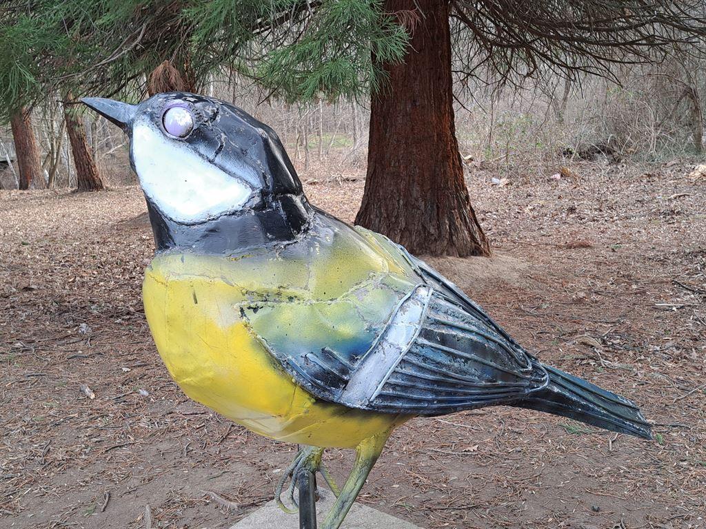 birdeye