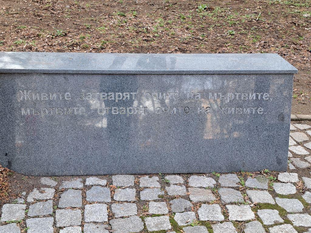 plaque