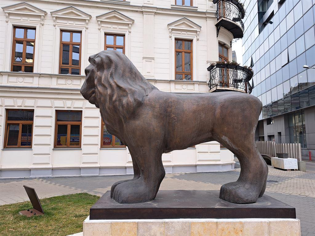 lion