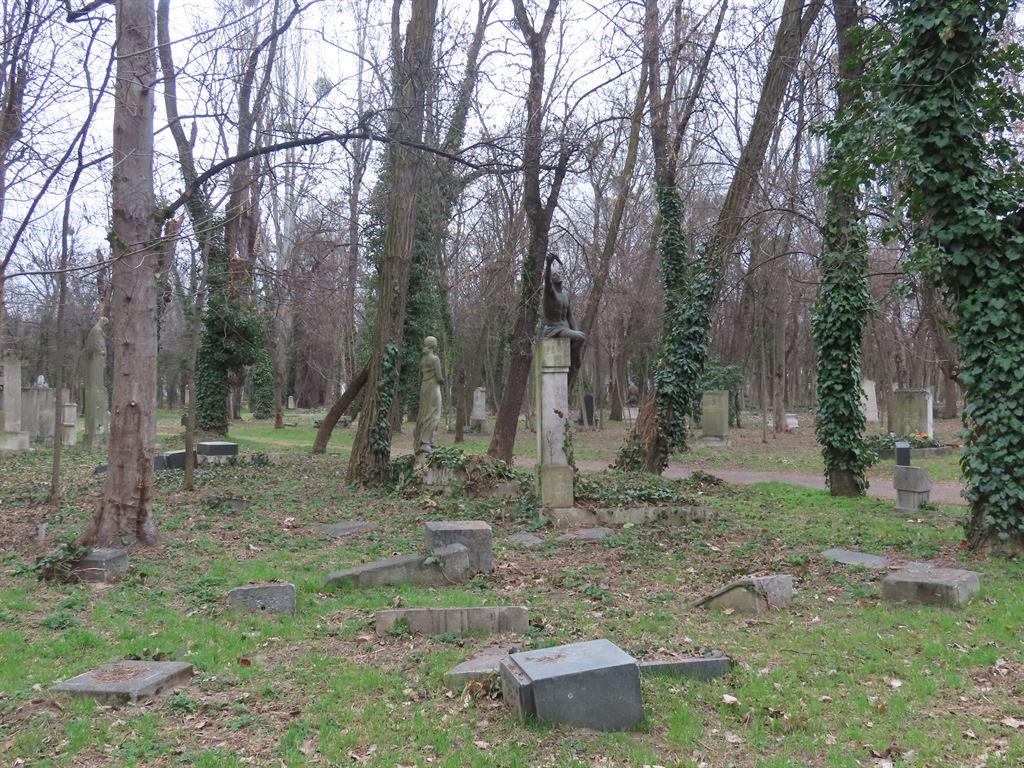 graves&trees