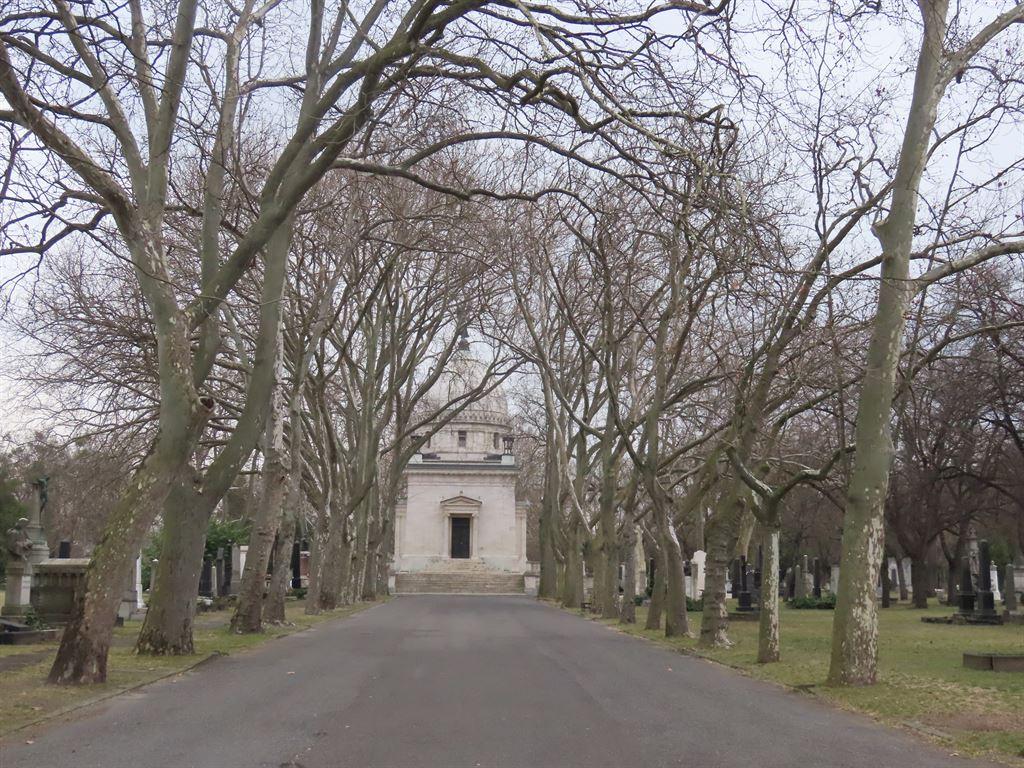 avenue