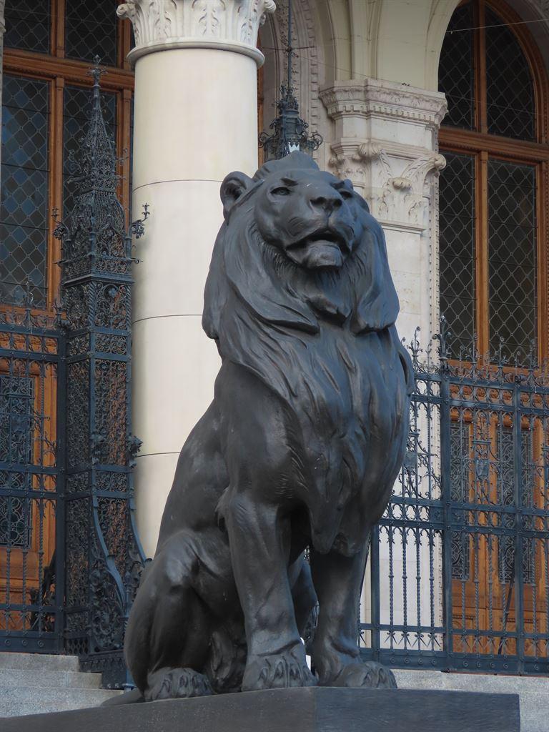 lion