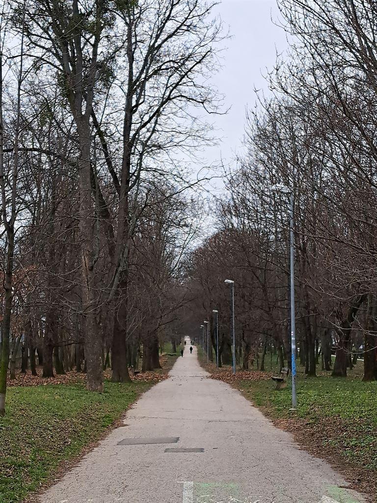park