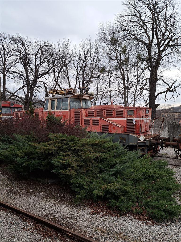 train&bush