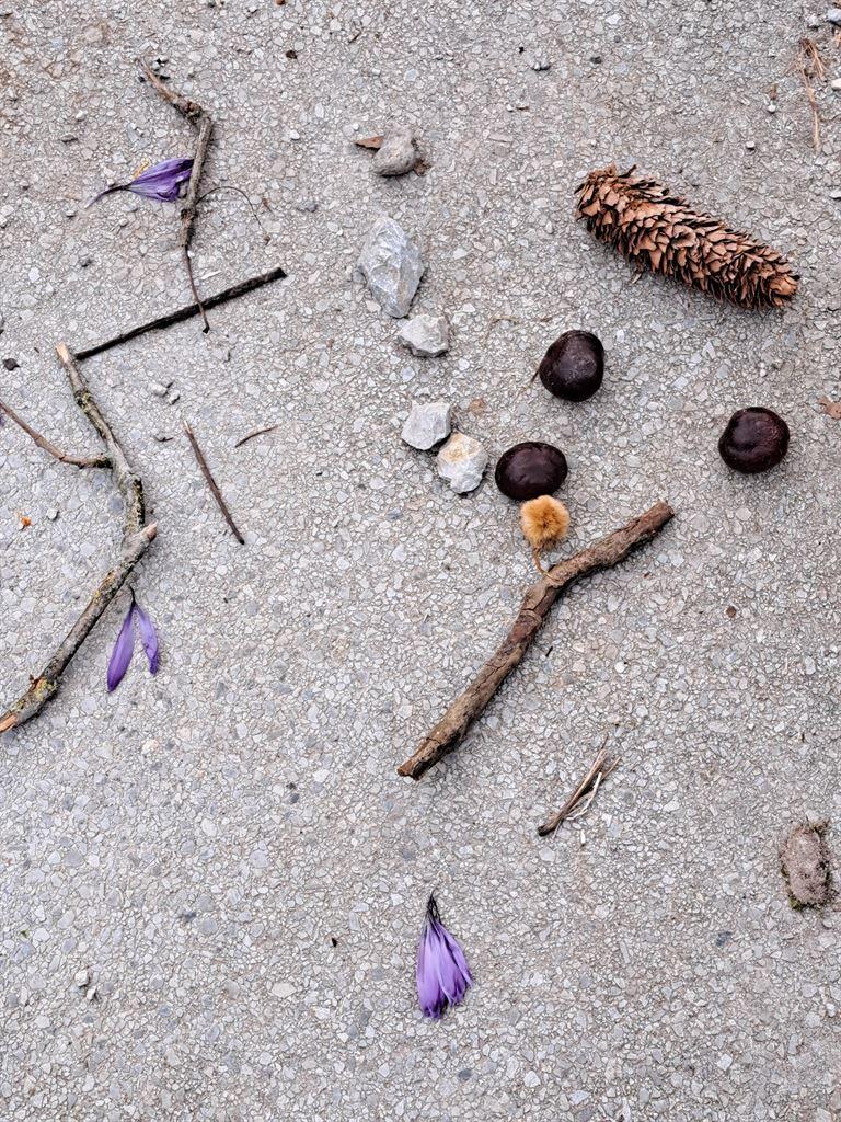 stilllife