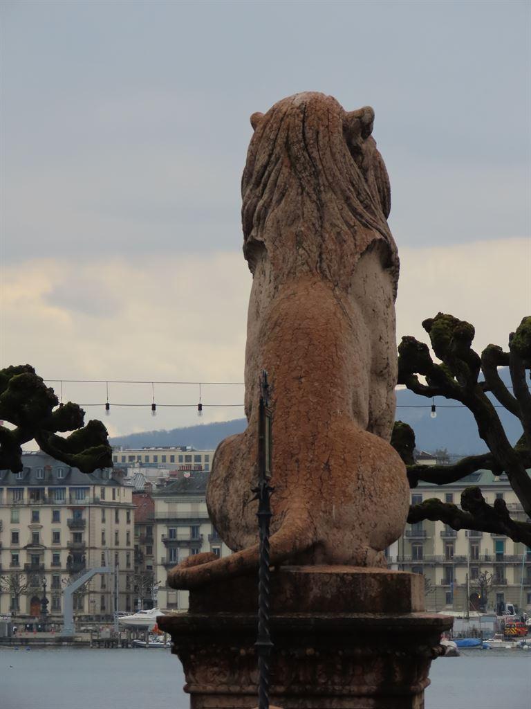 lion&pollard