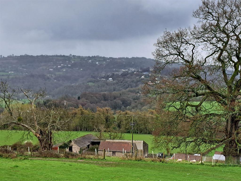 hills