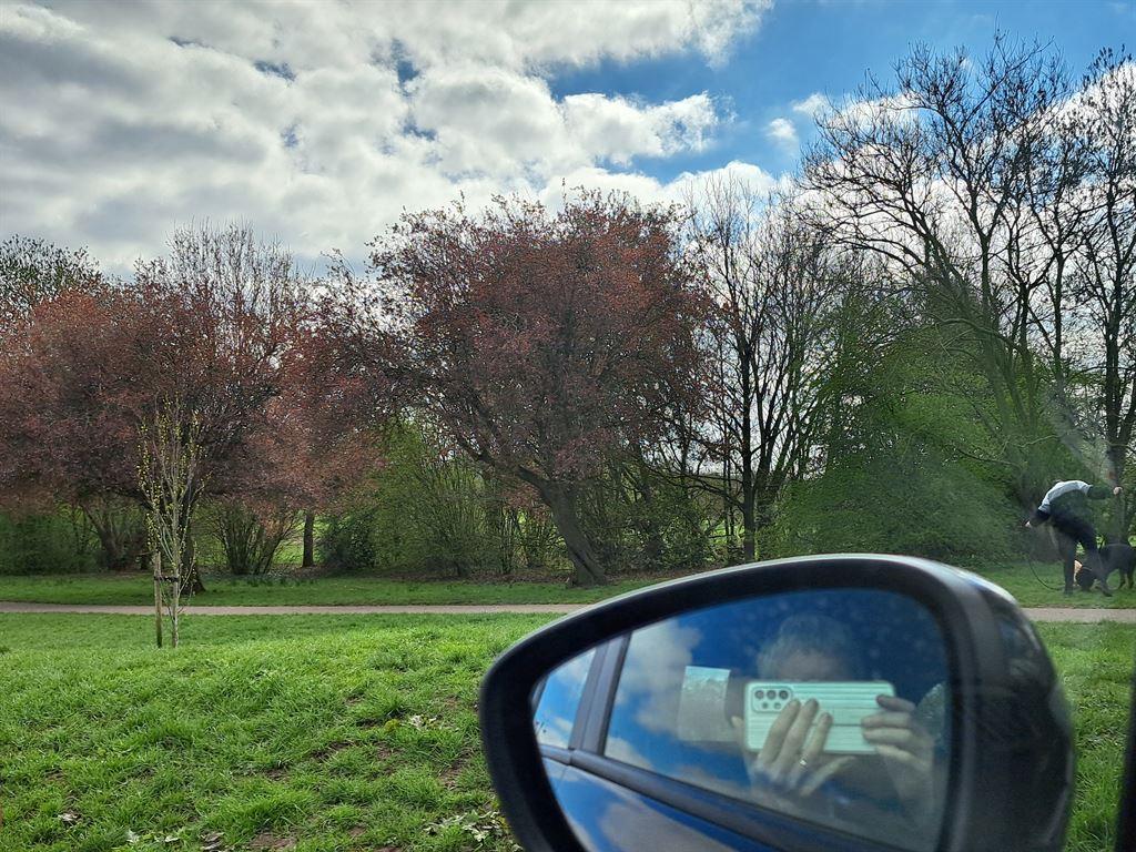 picnicview