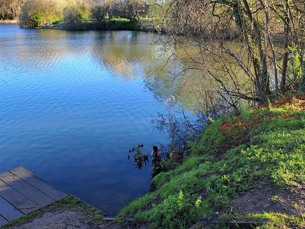 lake