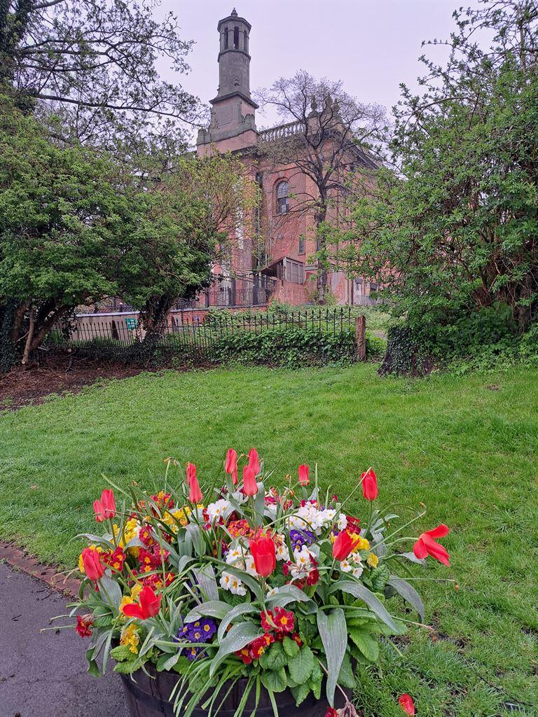 flowers