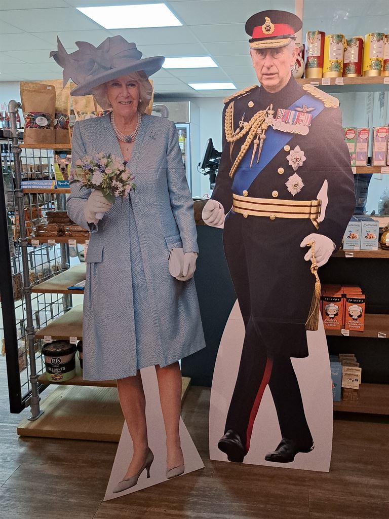 cutout3