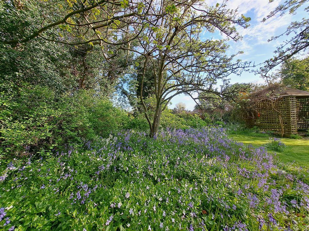 garden1