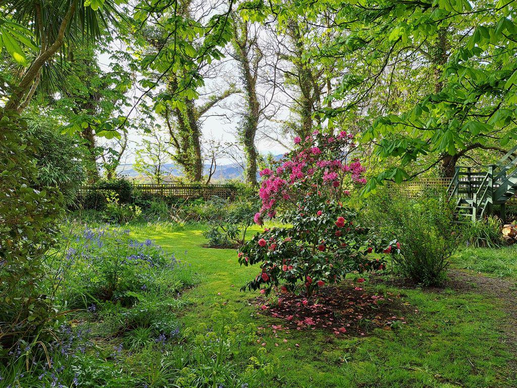 garden3