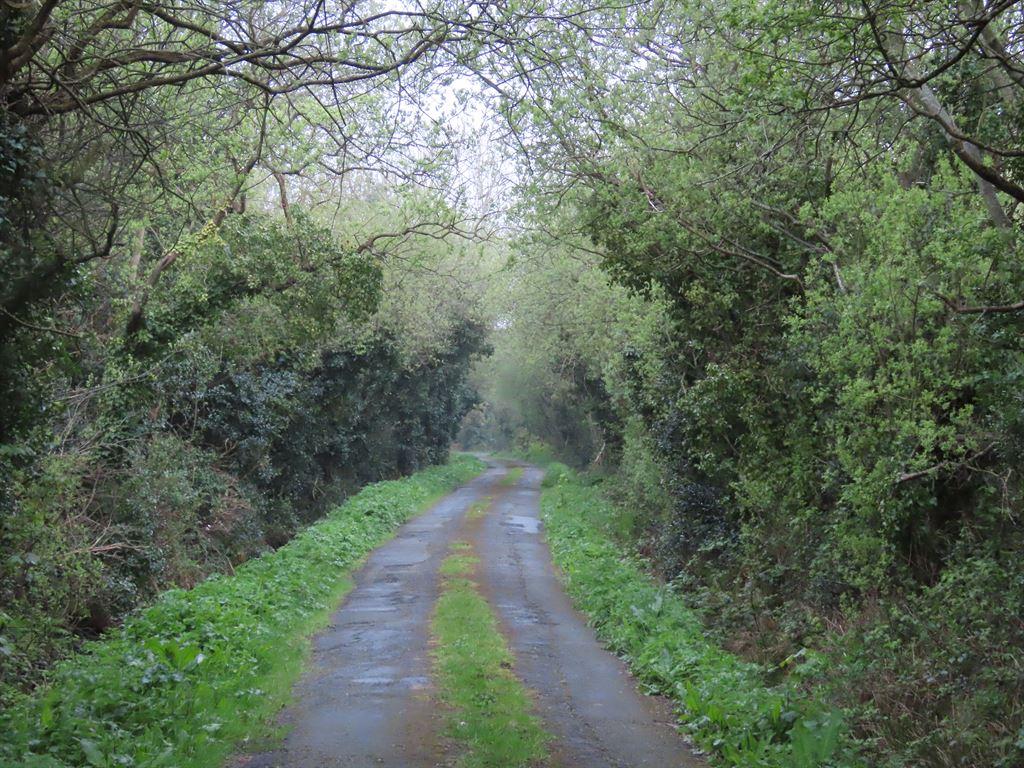 road