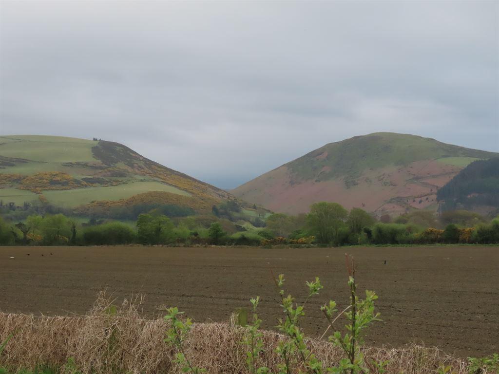 view1