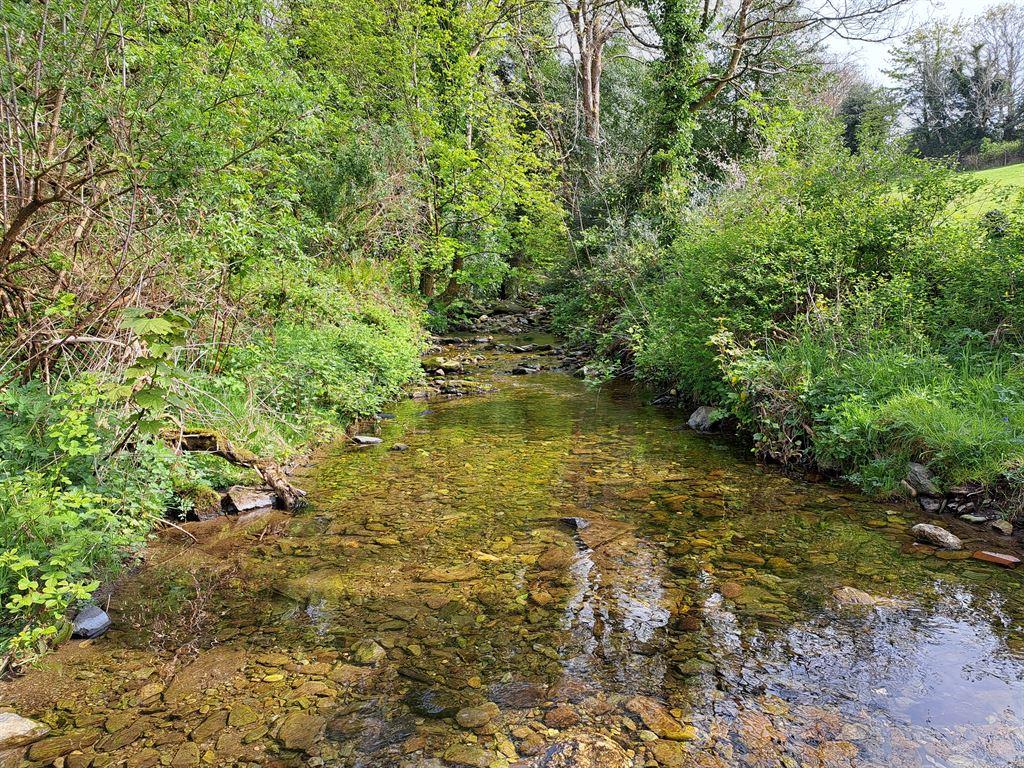 river