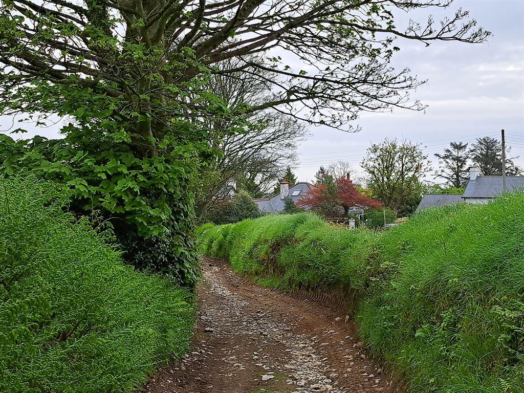lane