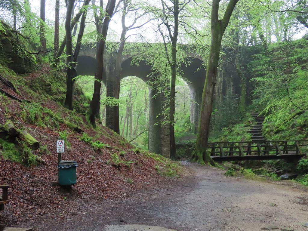 bridge