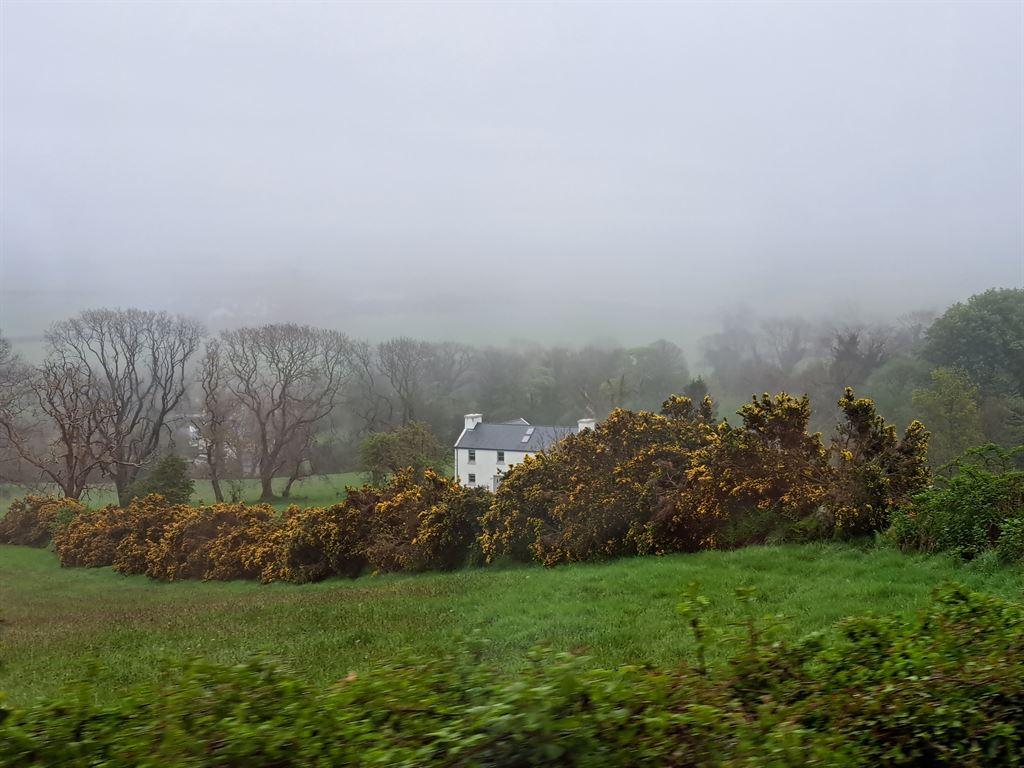 cottage