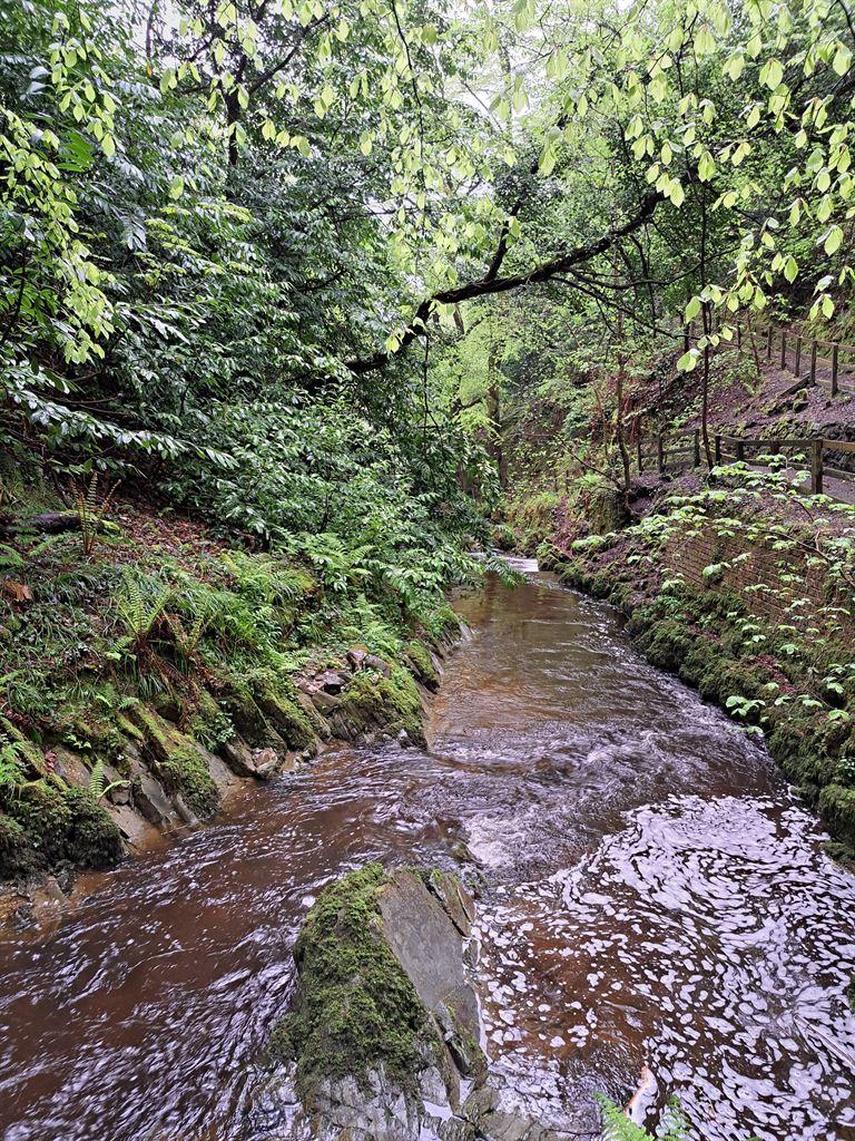 glen