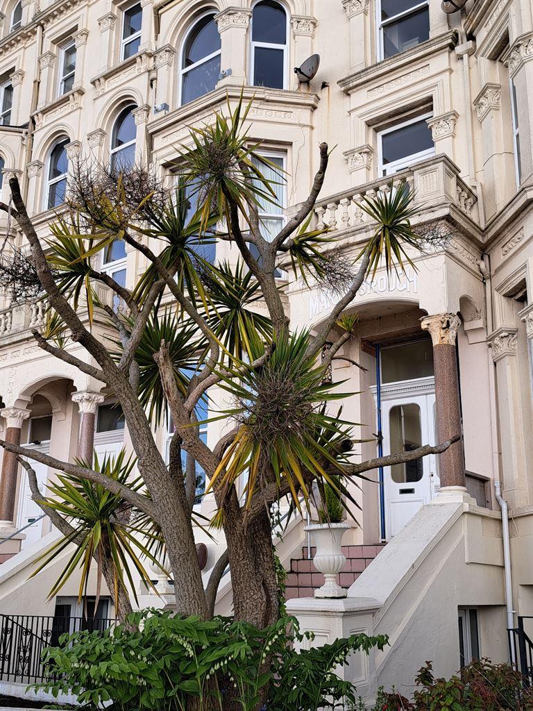 terrace&palms