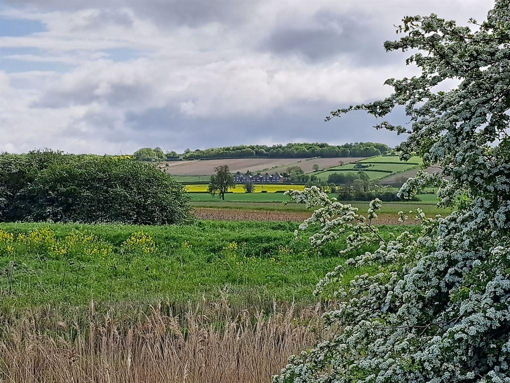 fields