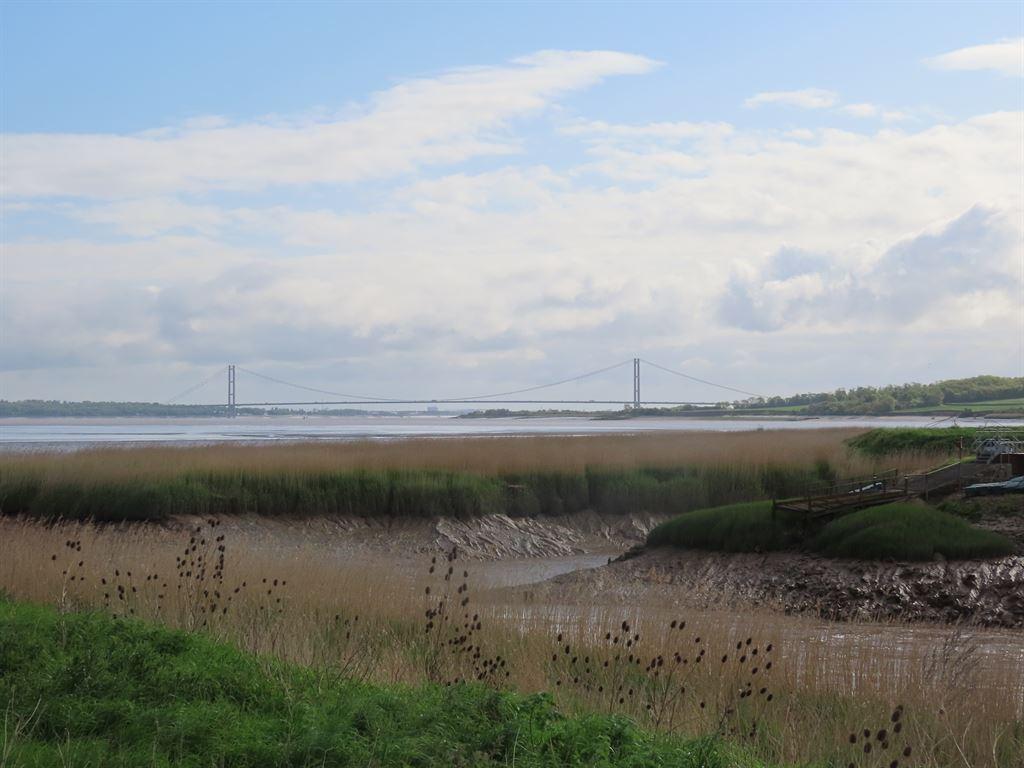 bridge