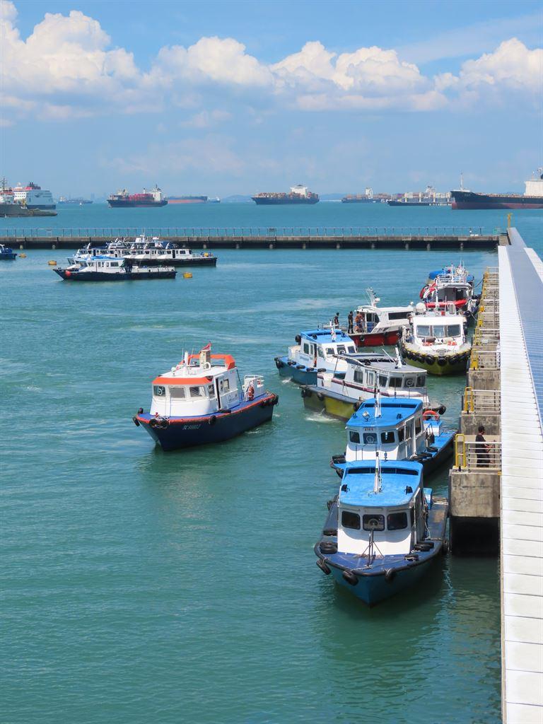 boats