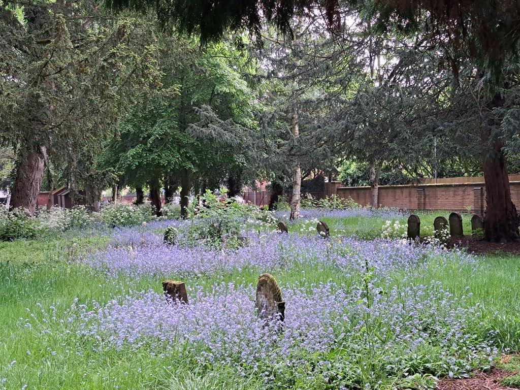 graveyard