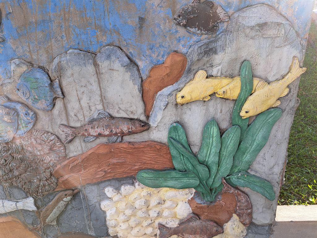 fish2