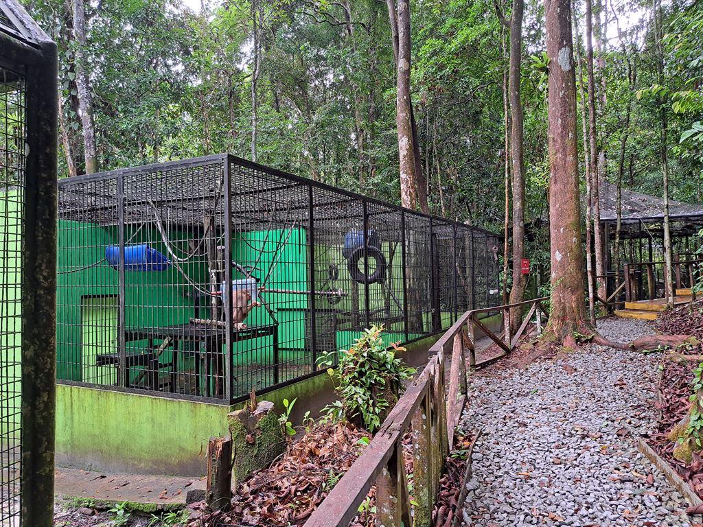 cages