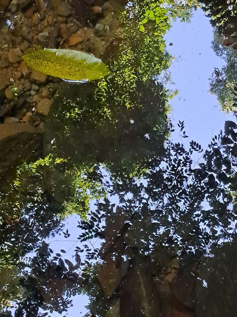 skyinpool