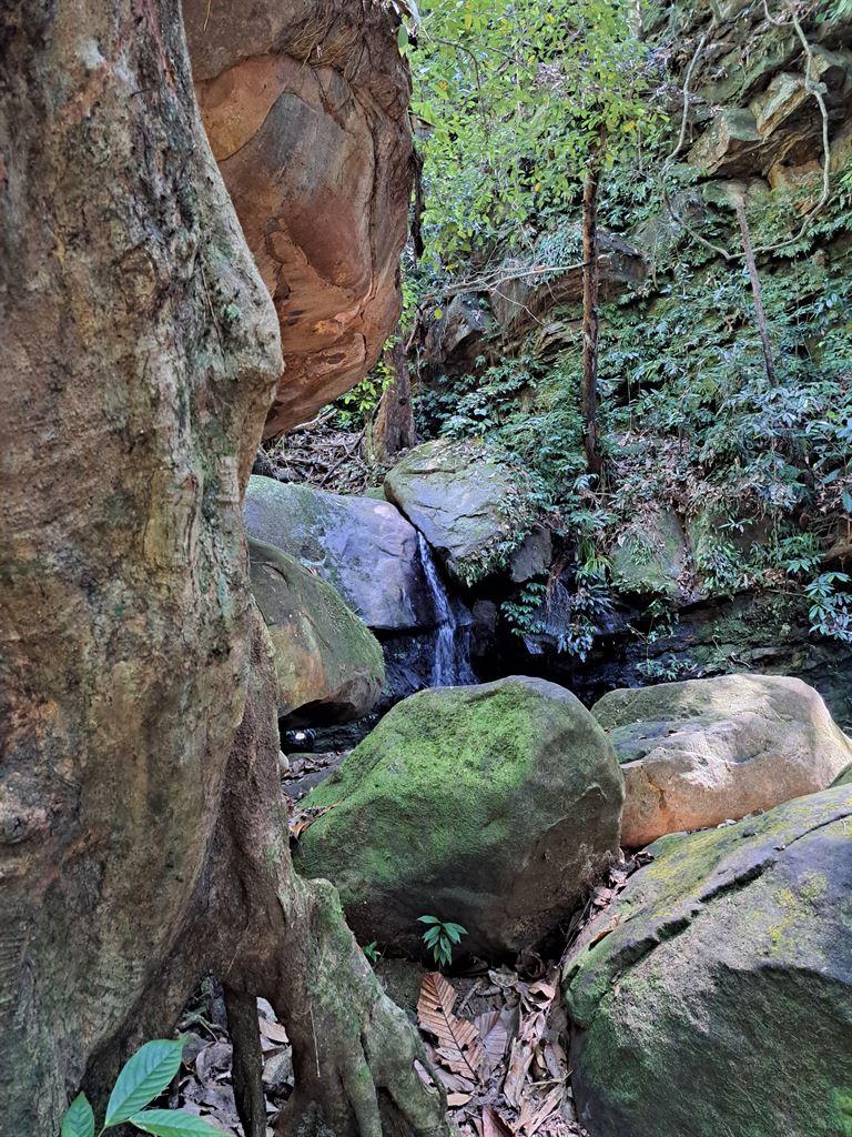 greenrock