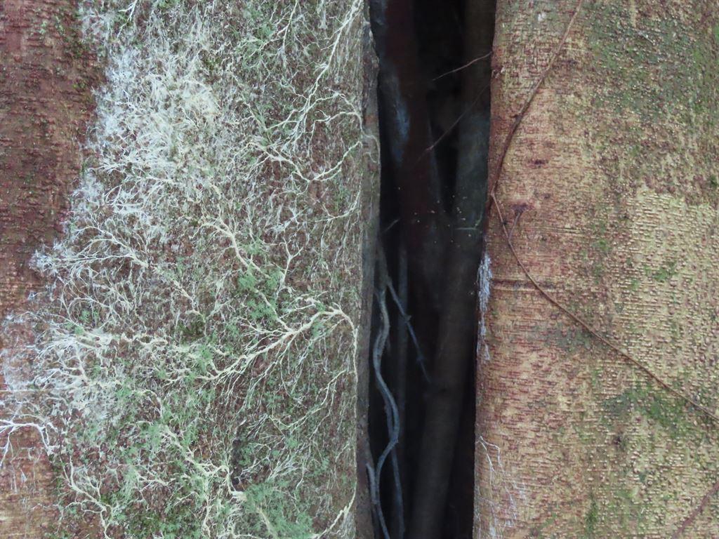 textures1