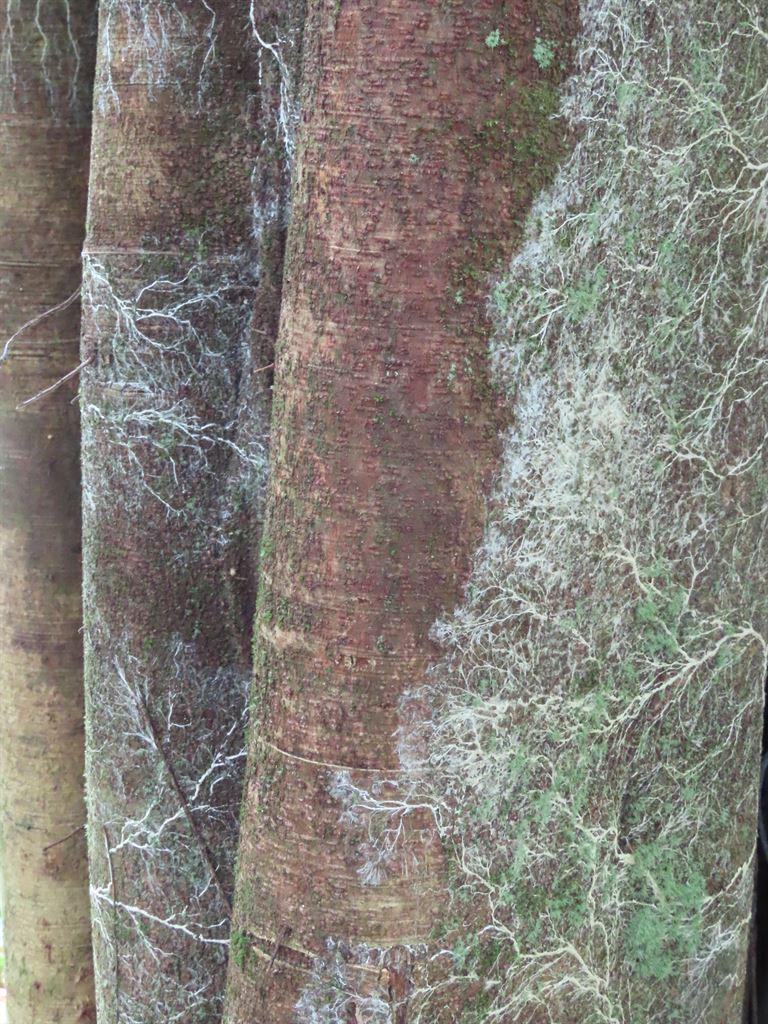 textures2