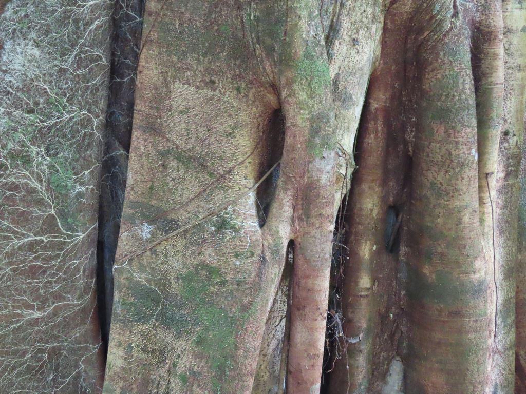 textures3