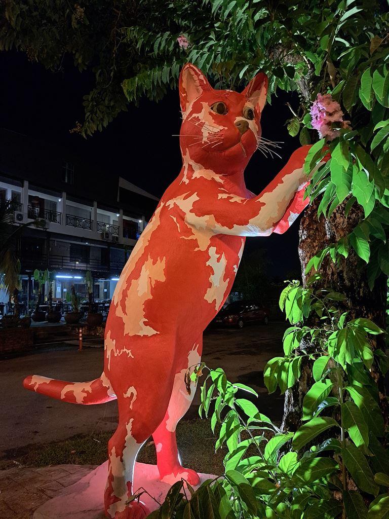 roxycat