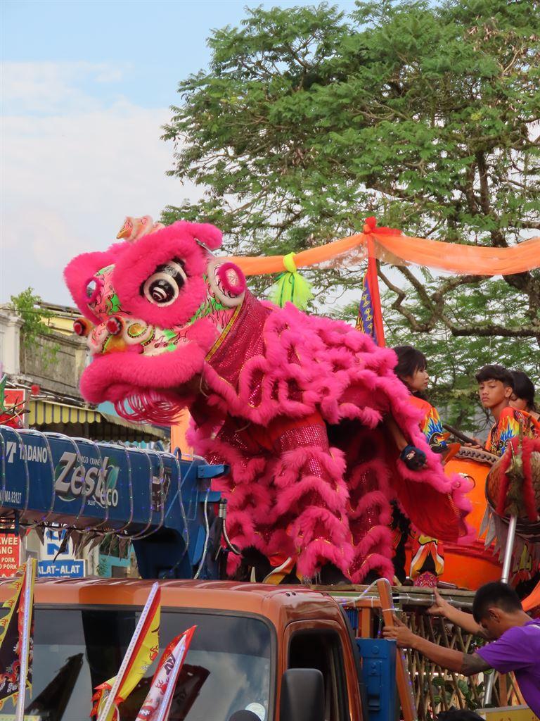 lions3