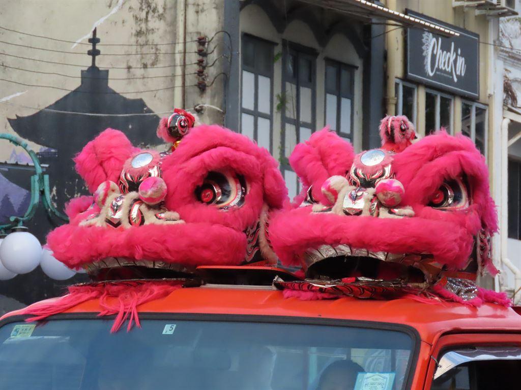 lions