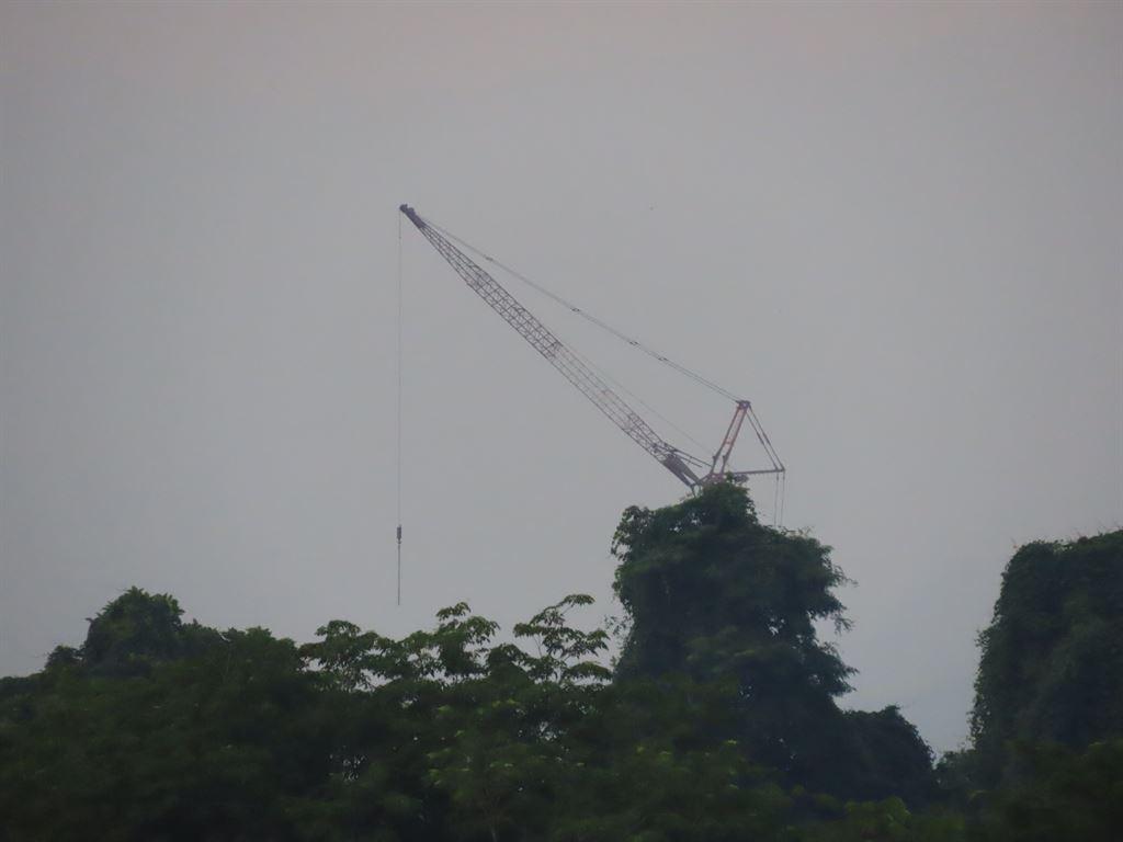 crane