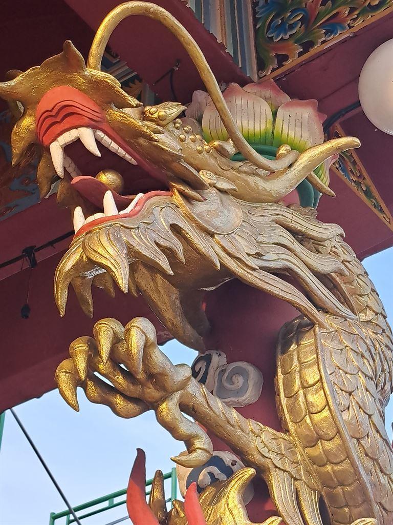 dragon3