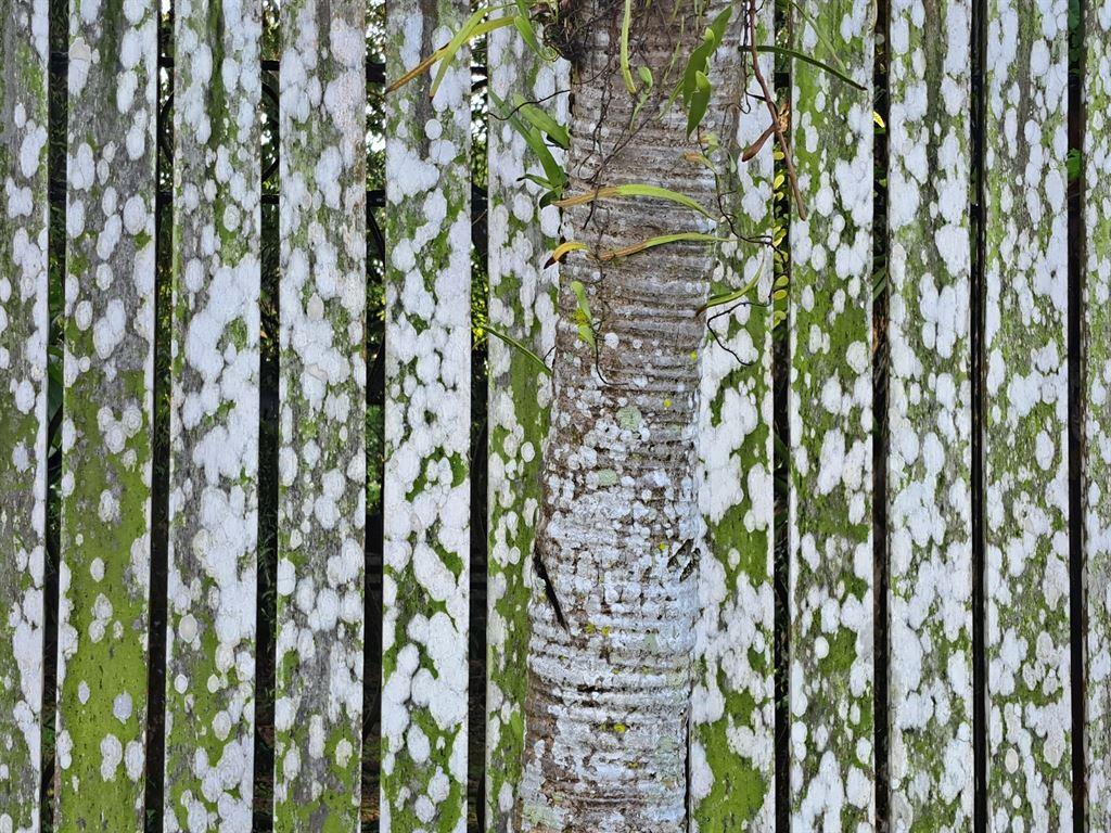 fence