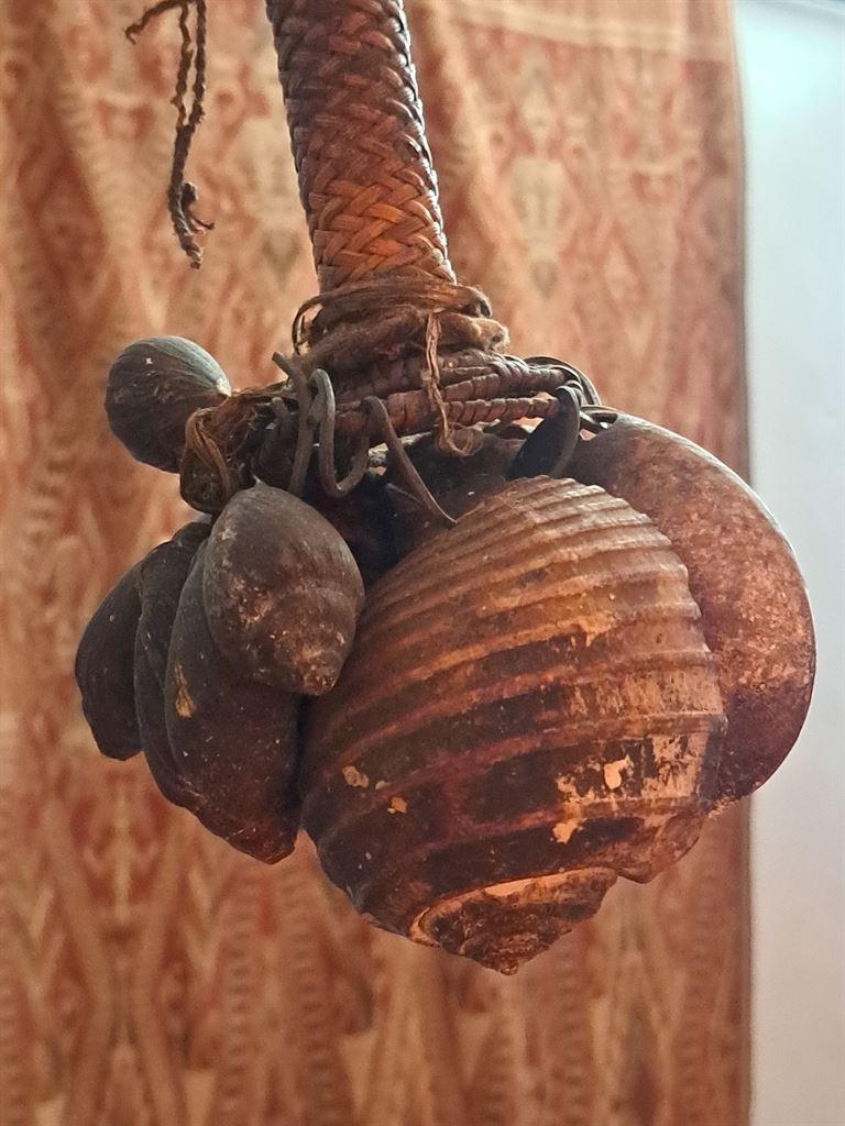 snailbells