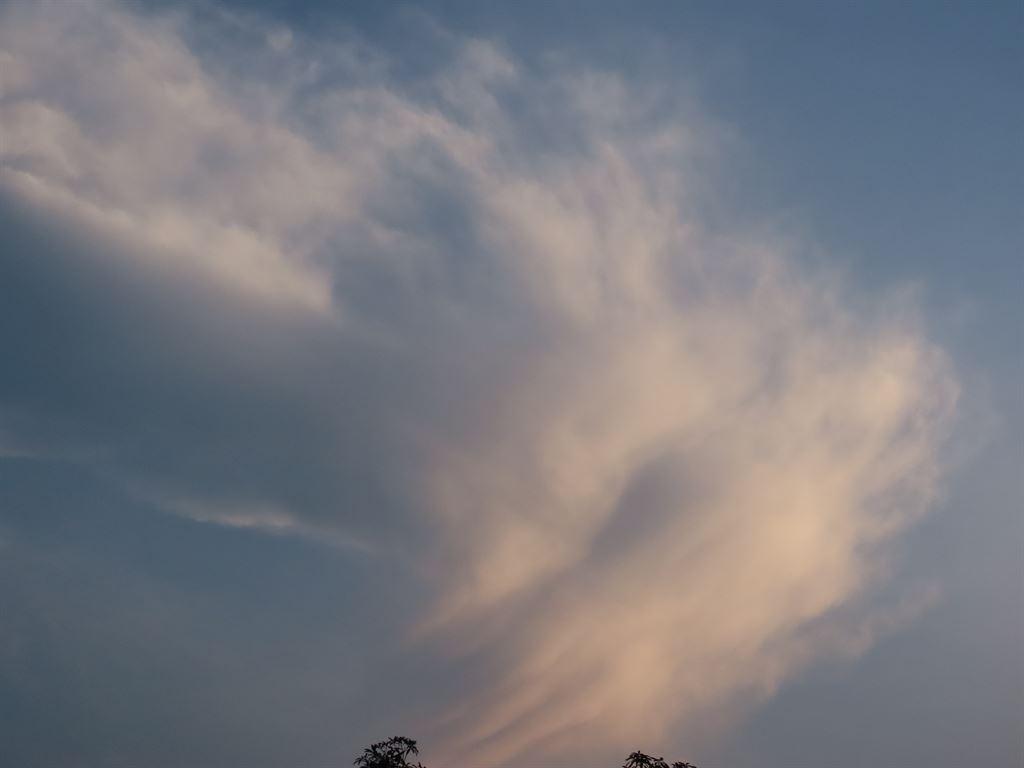 sky1