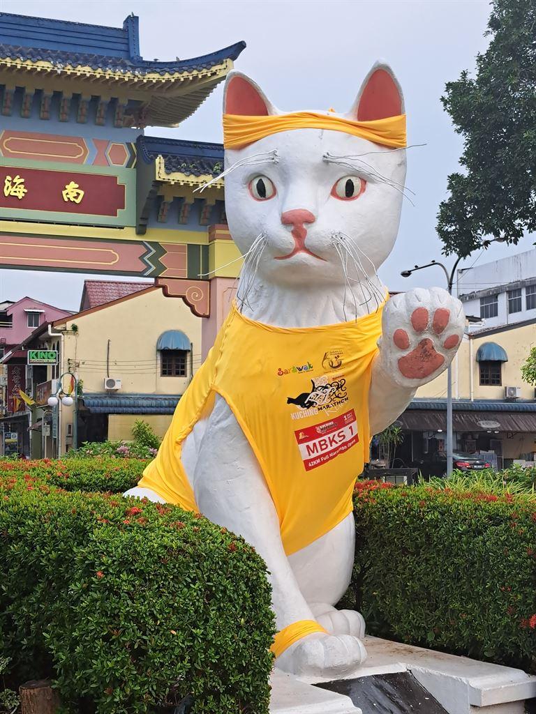 marathoncat