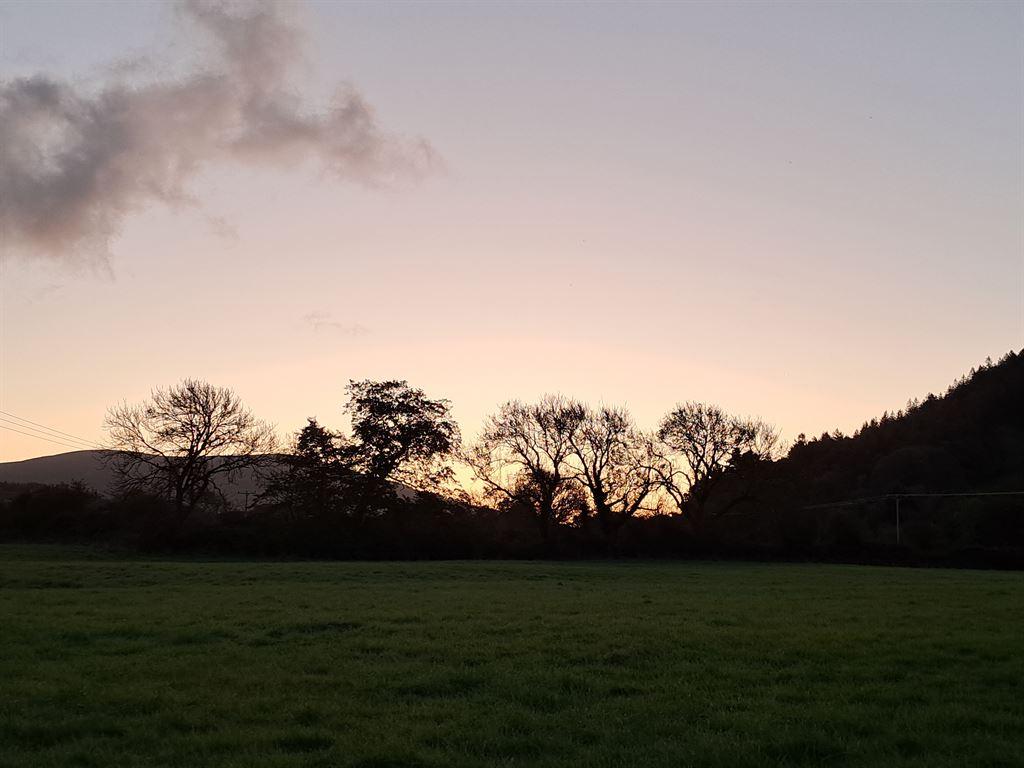 dawn