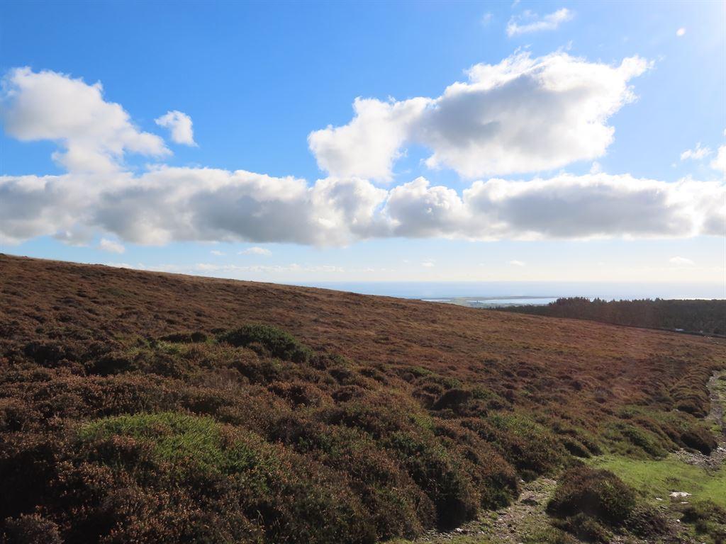 moorland2