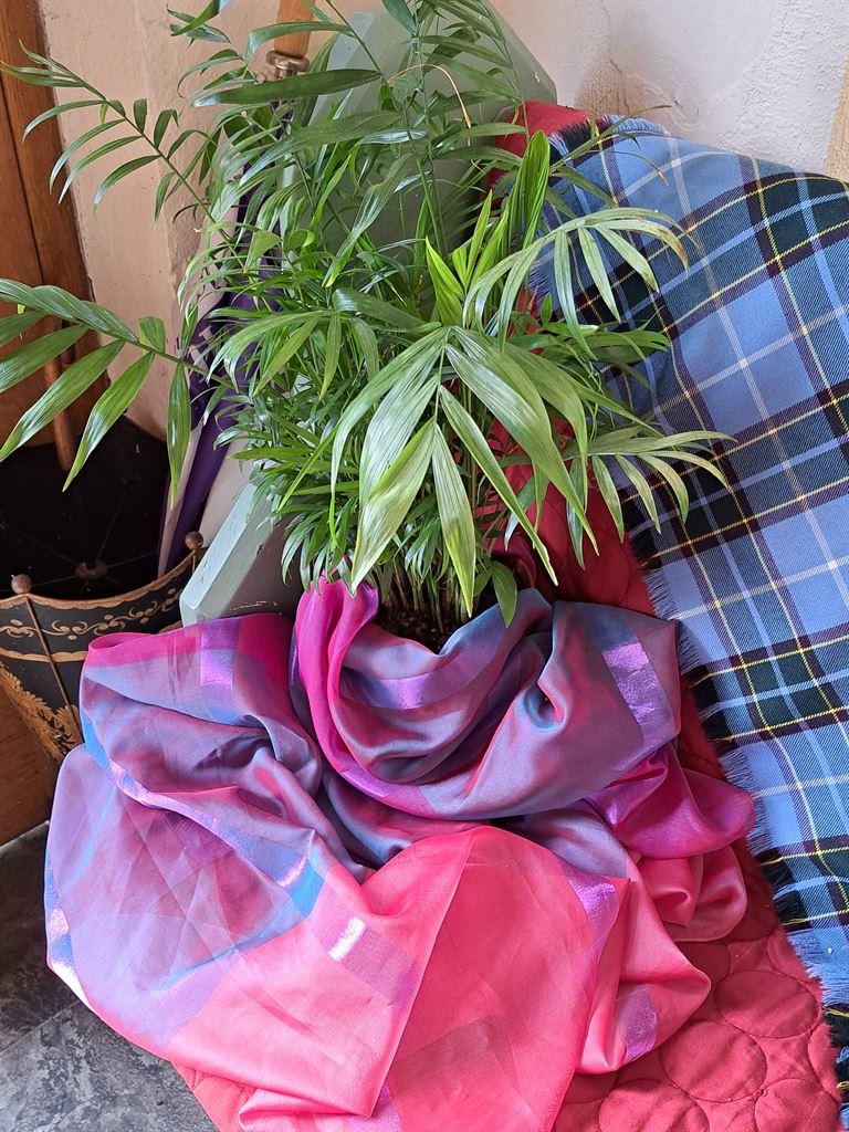 tartan